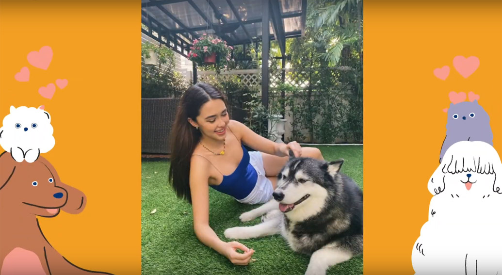 Leo Burnett Thailand and Soi Dog Foundation create user generated campaign raising money for animal shelters