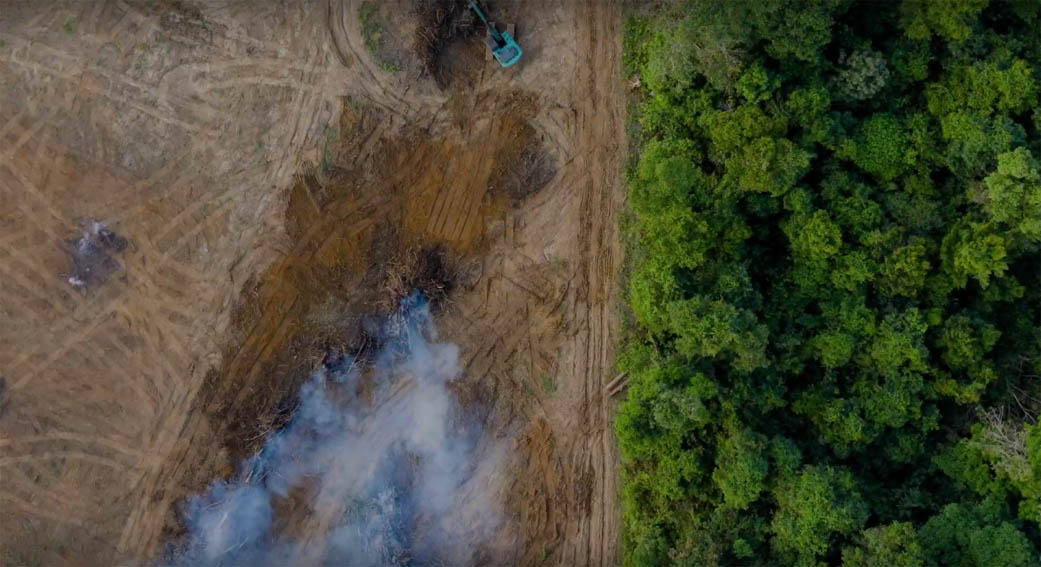McCann Worldgroup Bangalore focuses on a different pandemic in this ‘The Ultimate Vaccine’ campaign for WWF India
