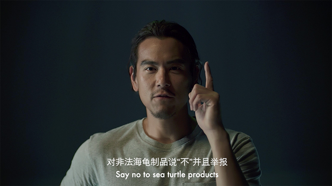 MediaMonks Shanghai launches the Sea Turtle Warriors campaign with WildAid