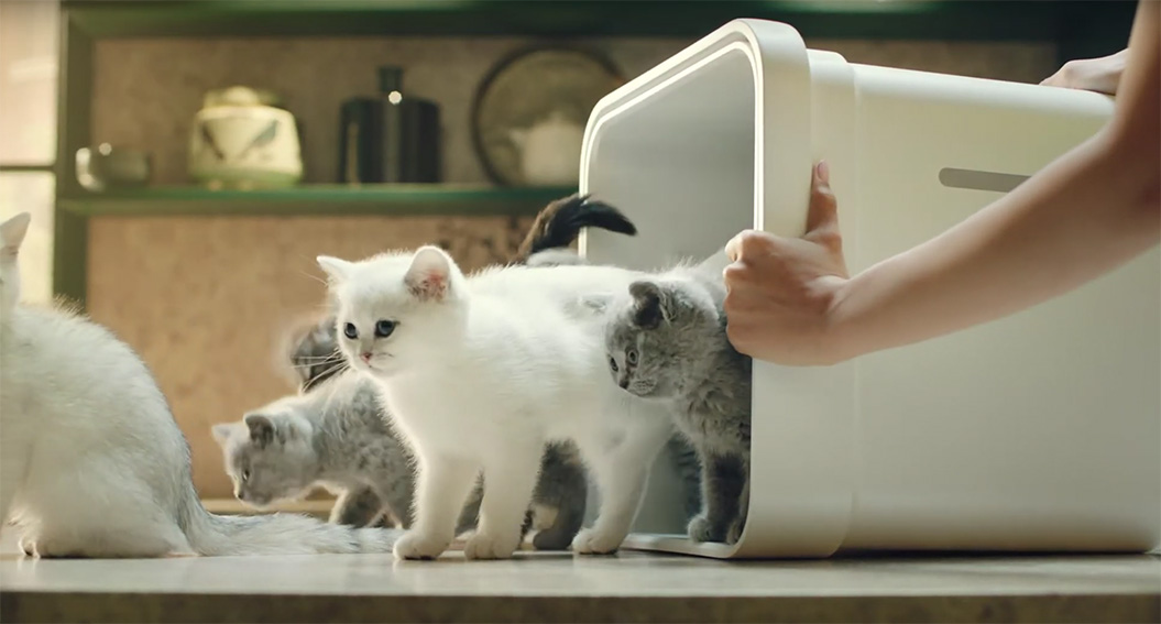 Cats star in new F5 Shanghai campaign to draw attention to the Midea Cube dehumidifier