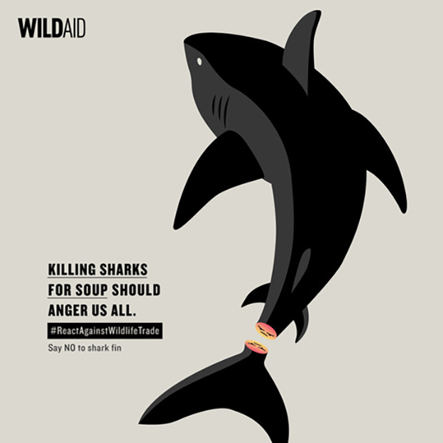 WildAid launches campaign marking World Wildlife Day created pro bono via BBDO Bangkok
