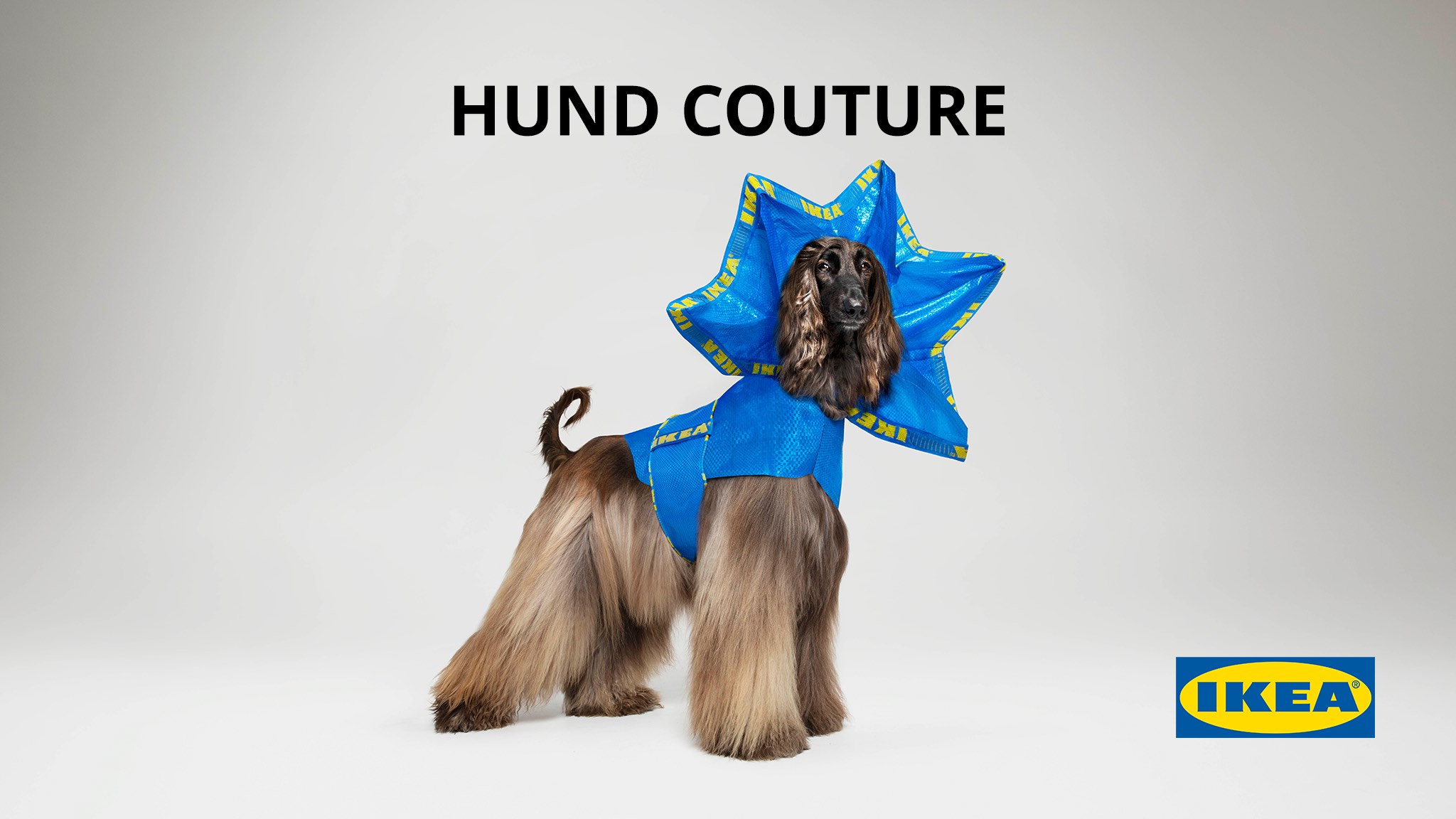 IKEA Australia launches HUND COUTURE for dogs in April Fools’ Day campaign