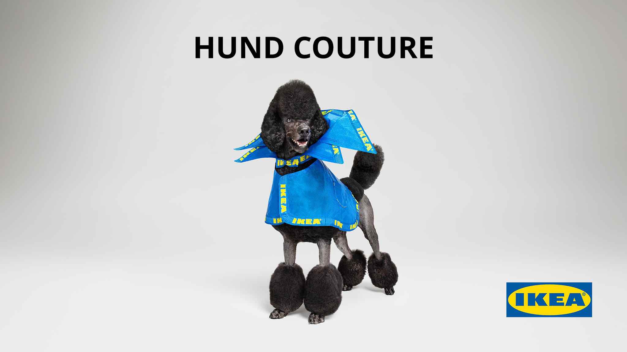 IKEA Australia launches HUND COUTURE for dogs in April Fools’ Day campaign