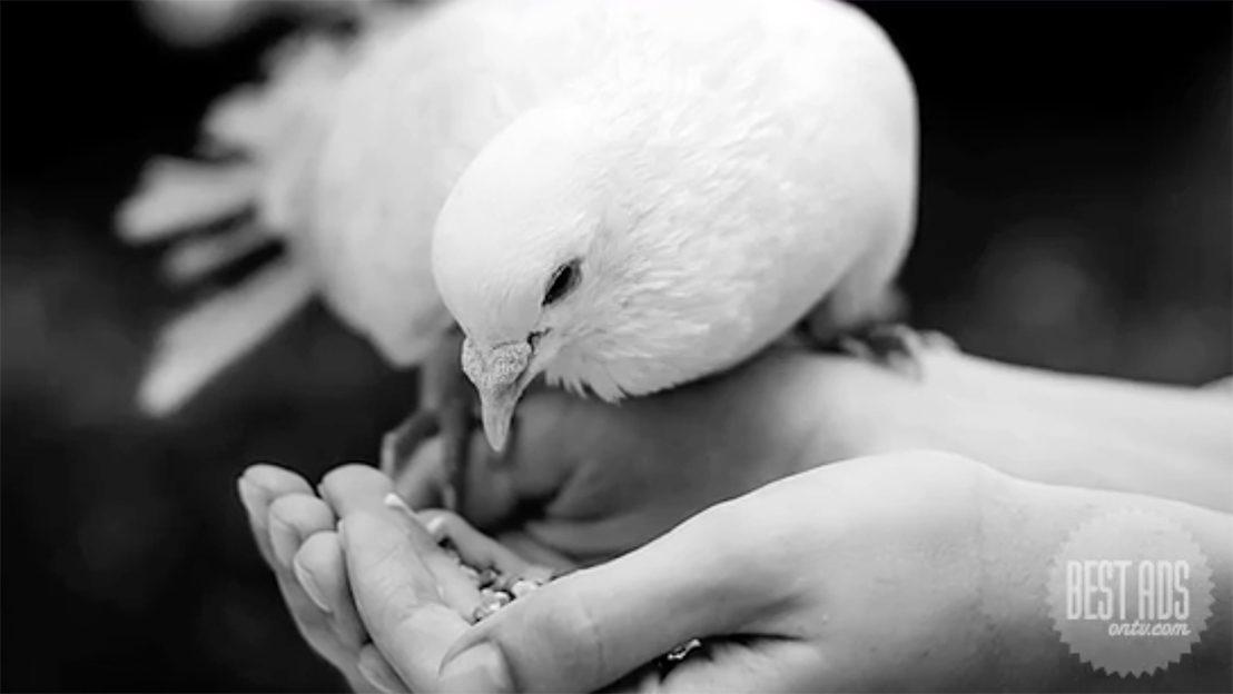 Honda’s Mother’s Day campaign via Taproot Dentsu India says we are all mothers