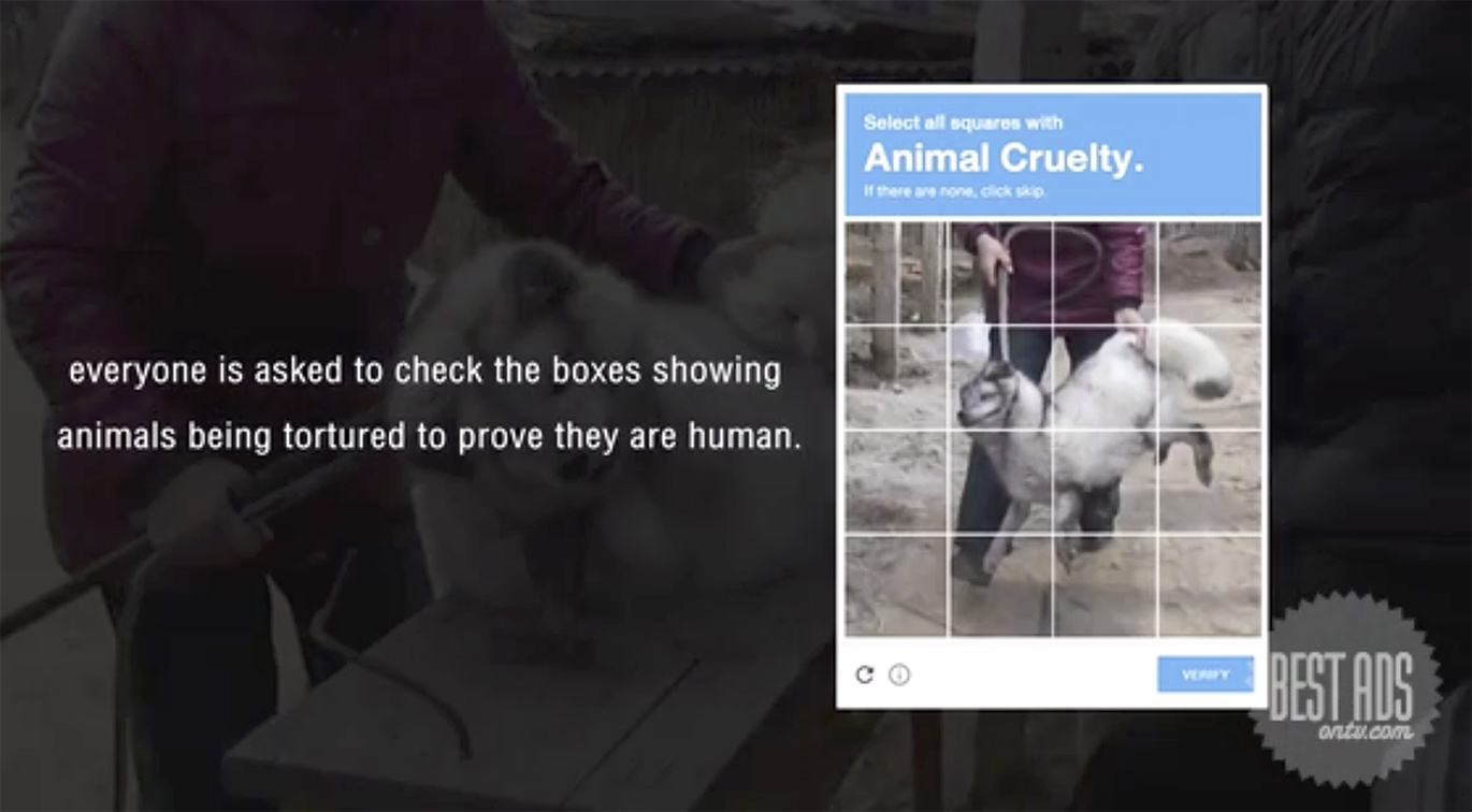Ogilvy Thailand exposes animal cruelty for PETA through the Human Check Captcha campaign