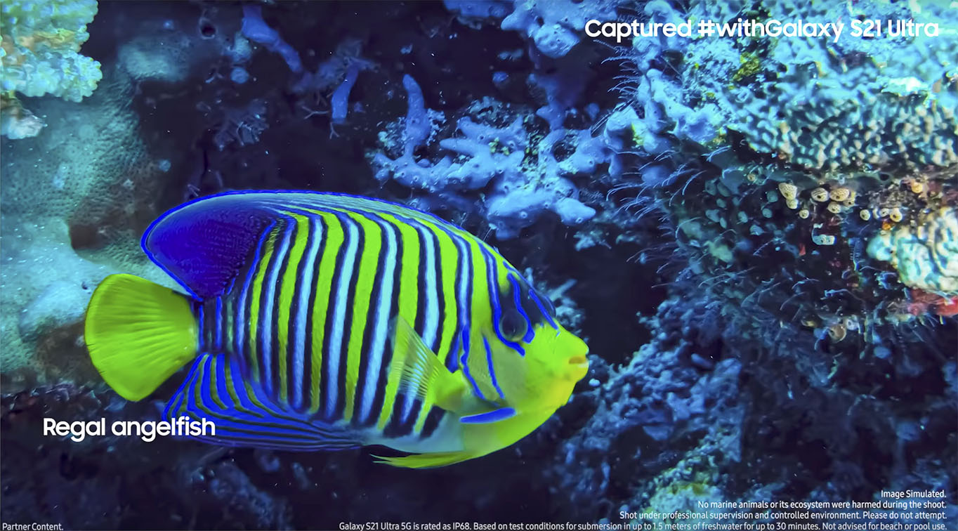 Samsung India and Cheil India partner with National Geographic Traveller to experience underwater expedition