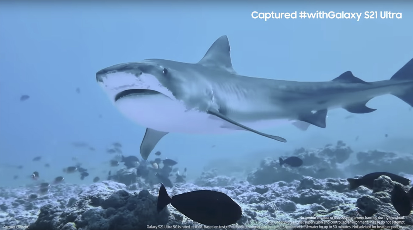 Samsung India and Cheil India partner with National Geographic Traveller to experience underwater expedition