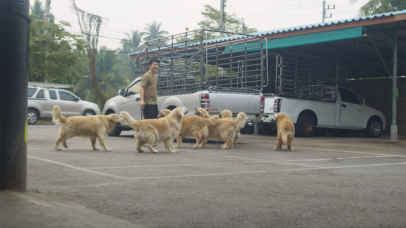 FWD Thailand redefines insurance through short film targeting Thais aged between 18 and 35 via GREYnJ UNITED Thailand