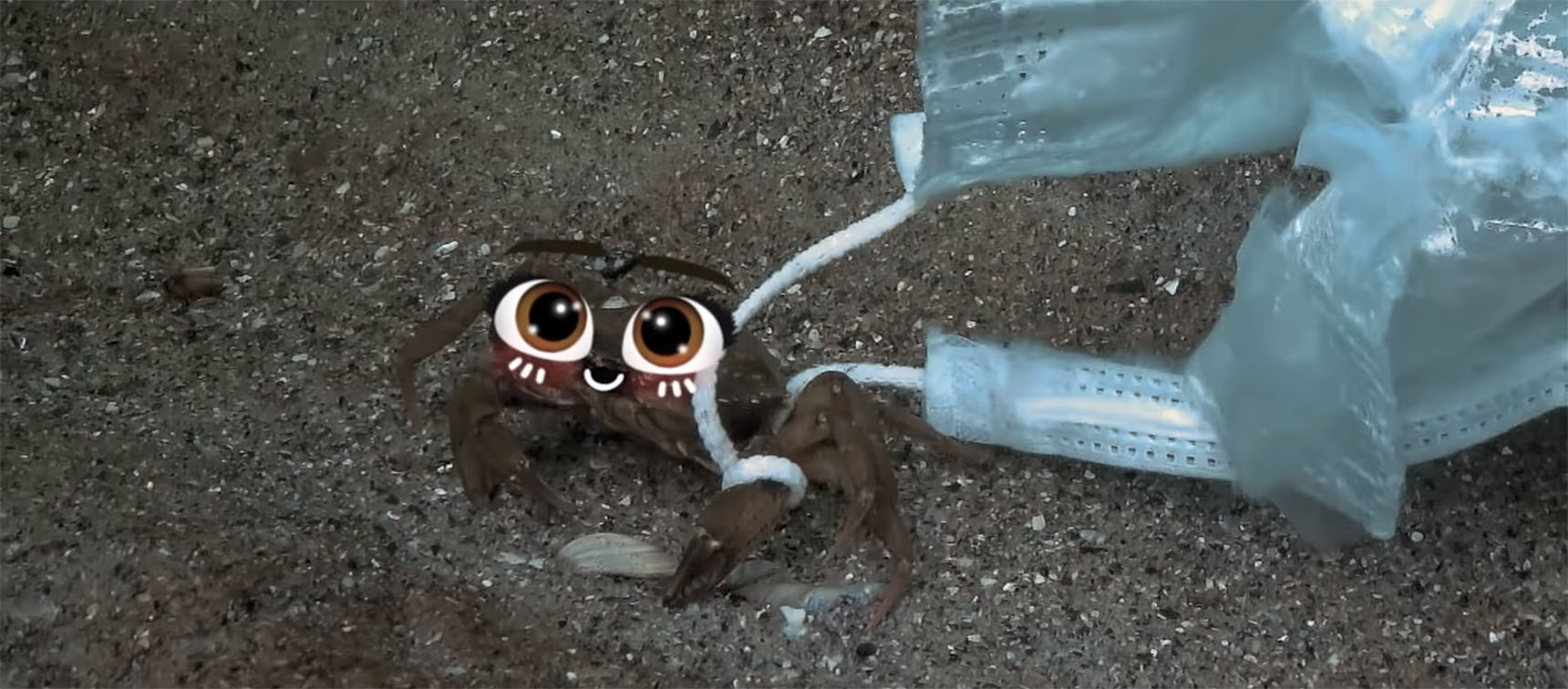 Allianz launches ‘No Filter’ spot via GIGIL Philippines showcasing how they are an insurance company for sustainability
