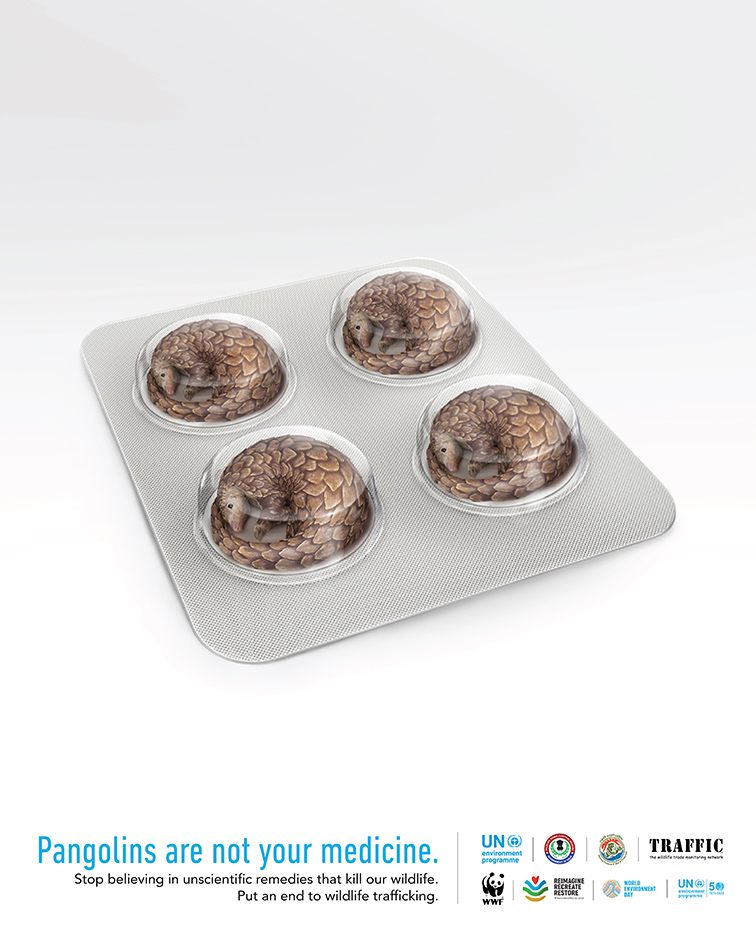 Ogilvy India releases two campaigns to raise awareness on wildlife crimes for the United Nations Environment Programme