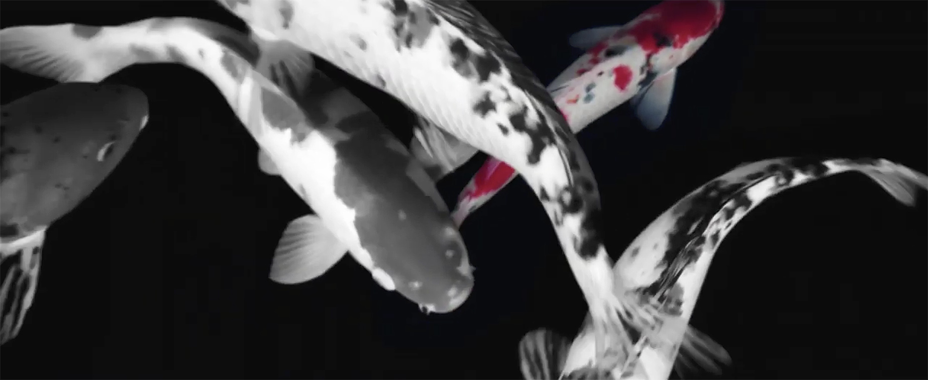 Toshiba’s new global campaign via Stig&Xi China brings back the Takumi spirit