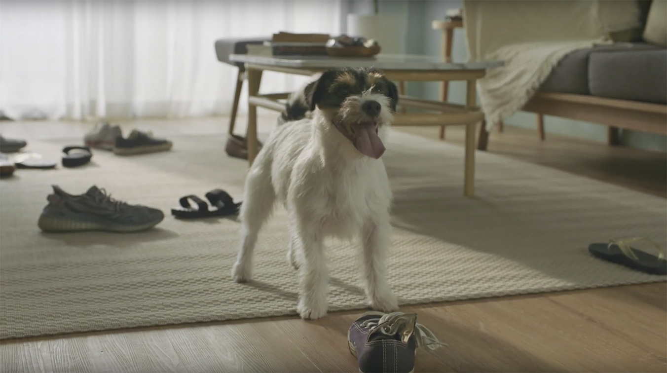 Wolf BKK Thailand and AP THAI’s new film exposes what your dog gets up to when you’re not there