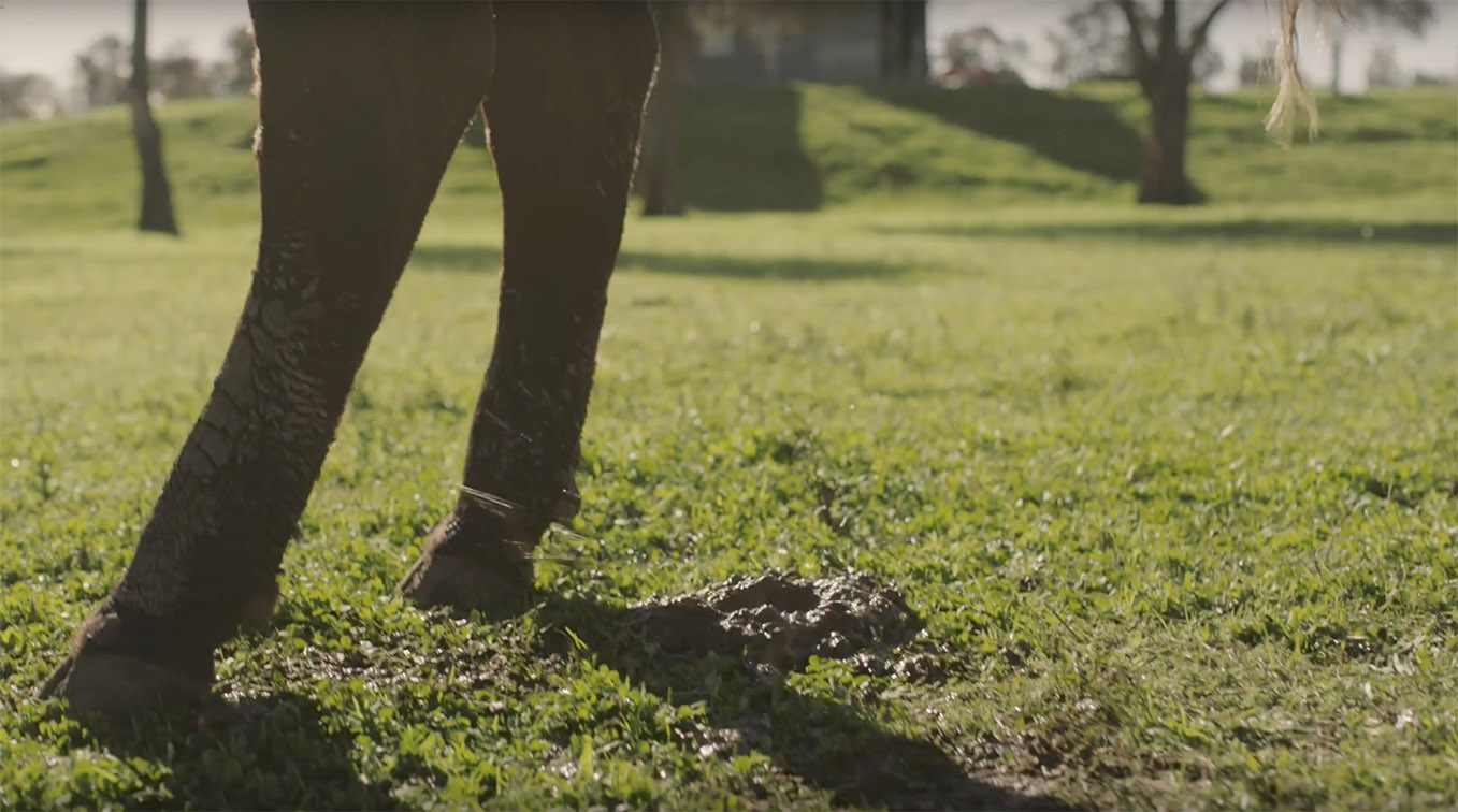 TBWA Singapore creates campaign for Cabital that calls out the B.S. on the crypto category