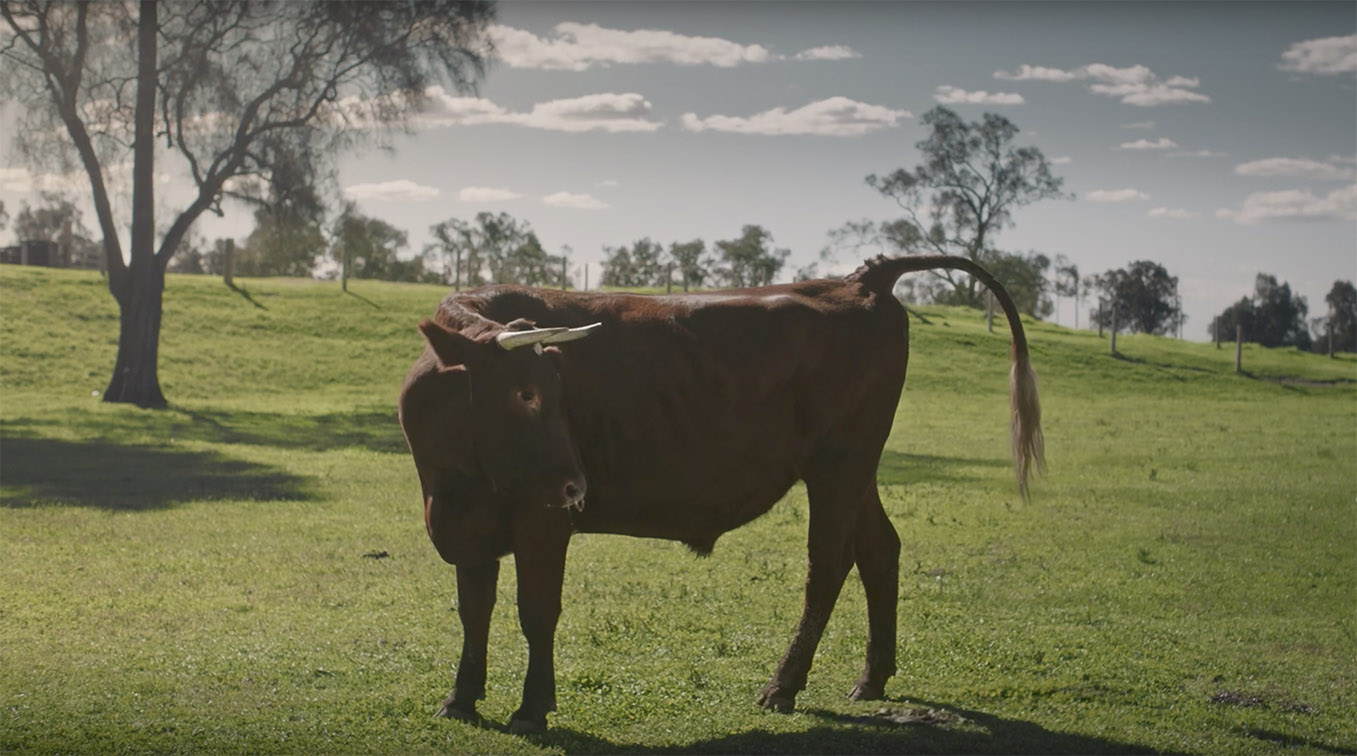 TBWA Singapore creates campaign for Cabital that calls out the B.S. on the crypto category