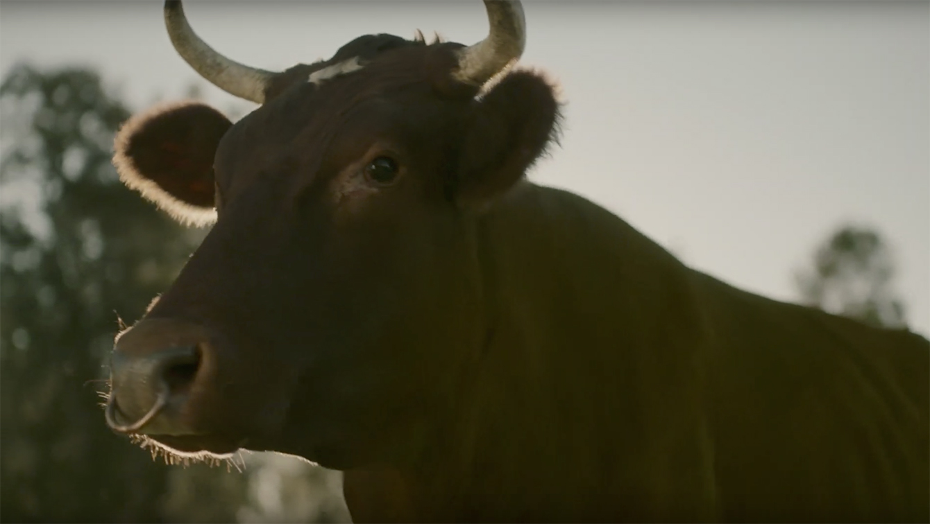 TBWA Singapore creates campaign for Cabital that calls out the B.S. on the crypto category