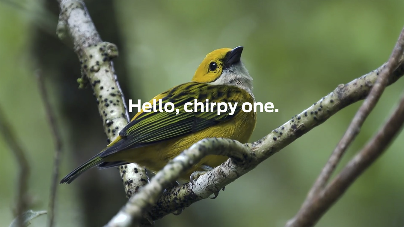 Reprise Digital Malaysia says hello to the great outdoors in new Ford campaign