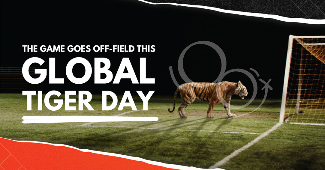 Leo Burnett Malaysia and WWF launch Score For Tigers campaign turning football fans into tiger fans