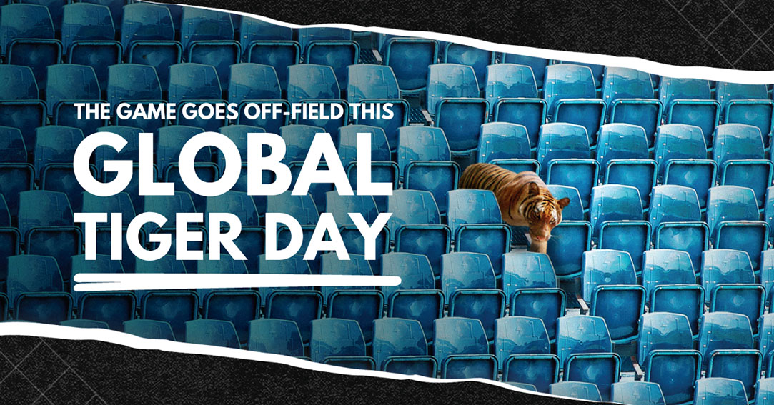Leo Burnett Malaysia and WWF launch Score For Tigers campaign turning football fans into tiger fans