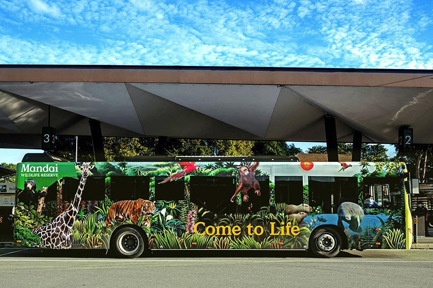 The Secret Little Agency’s design arm Anak creates new Mandai Wildlife Group rebrand