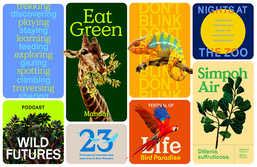 The Secret Little Agency’s design arm Anak creates new Mandai Wildlife Group rebrand