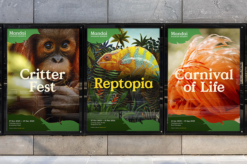 The Secret Little Agency’s design arm Anak creates new Mandai Wildlife Group rebrand
