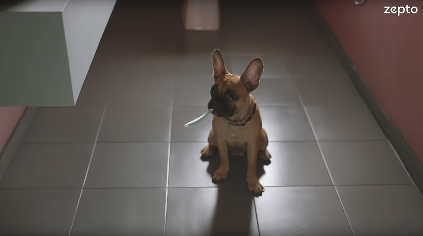 L&K Saatchi & Saatchi India wins Zepto advertising mandate and delivers first campaign