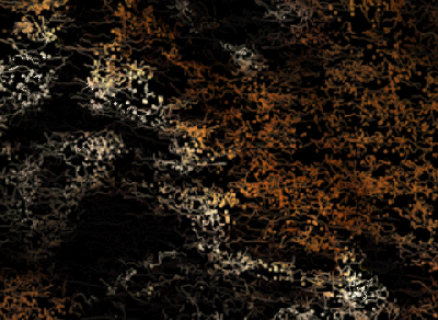 The Corbett Foundation & BBDO Singapore creates generative NFTs to regenerate our tigers