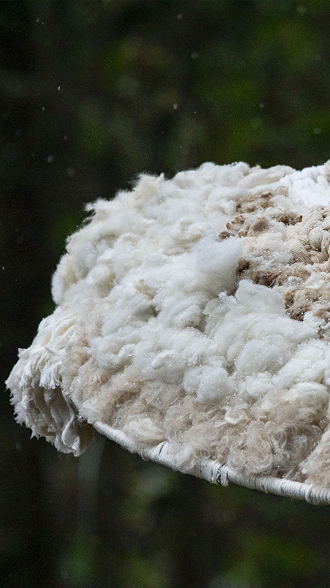 Mother Shanghai launches first work for The Woolmark Company, introducing Nest Starter
