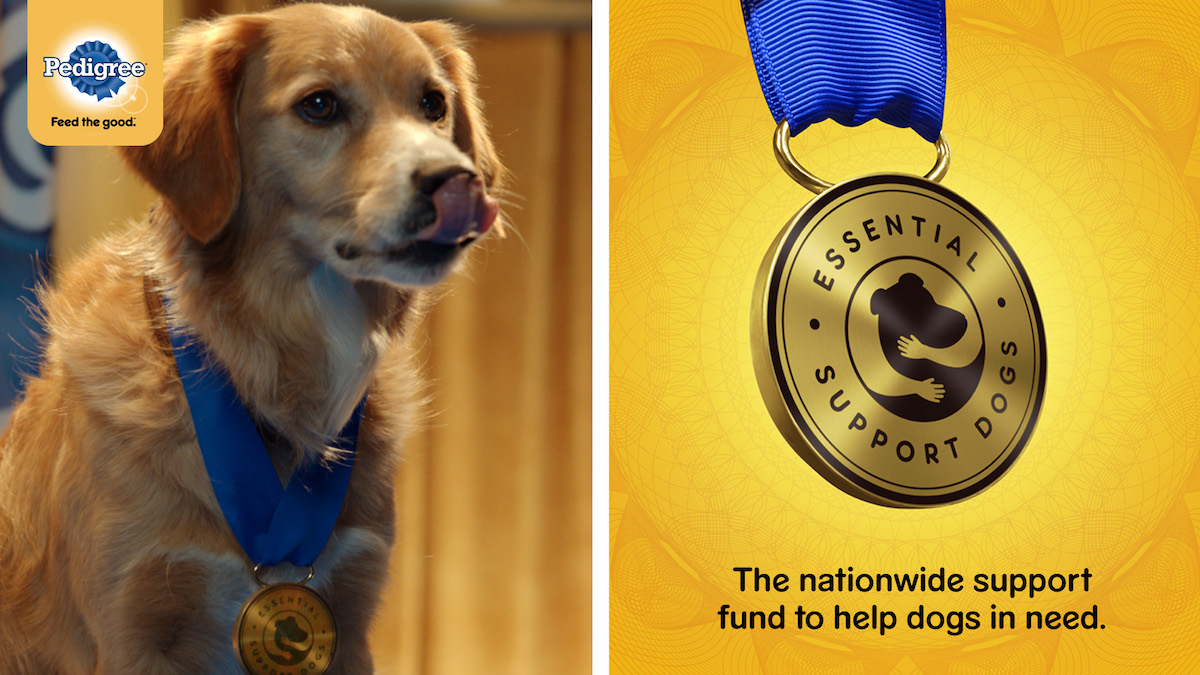 Pedigree celebrates all dogs as essential supporters in global campaign via Colenso BBDO