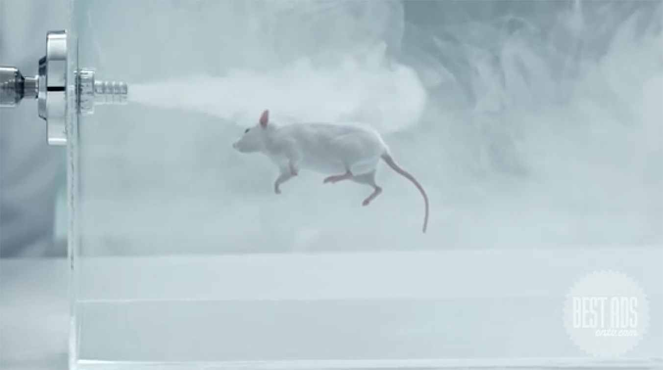 The Thai Health Promotion Foundation warns Thai’s of the risks of e-cigarettes through new Sunny the lab rat film via BBDO Bangkok
