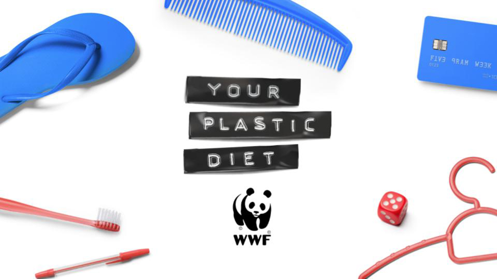 How Your Plastic Diet turned credit cards into constant reminders of the need for change