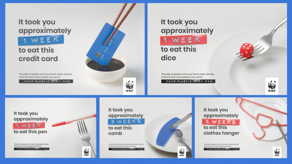 How Your Plastic Diet turned credit cards into constant reminders of the need for change