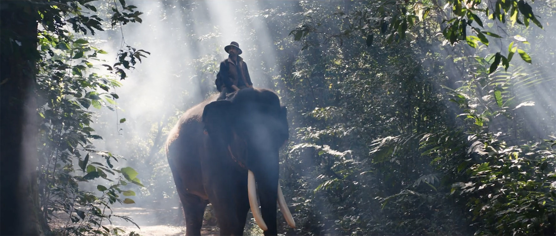 Scarecrow M&C Saatchi India’s new campaign reaffirms Rajnigandha passion for perfection