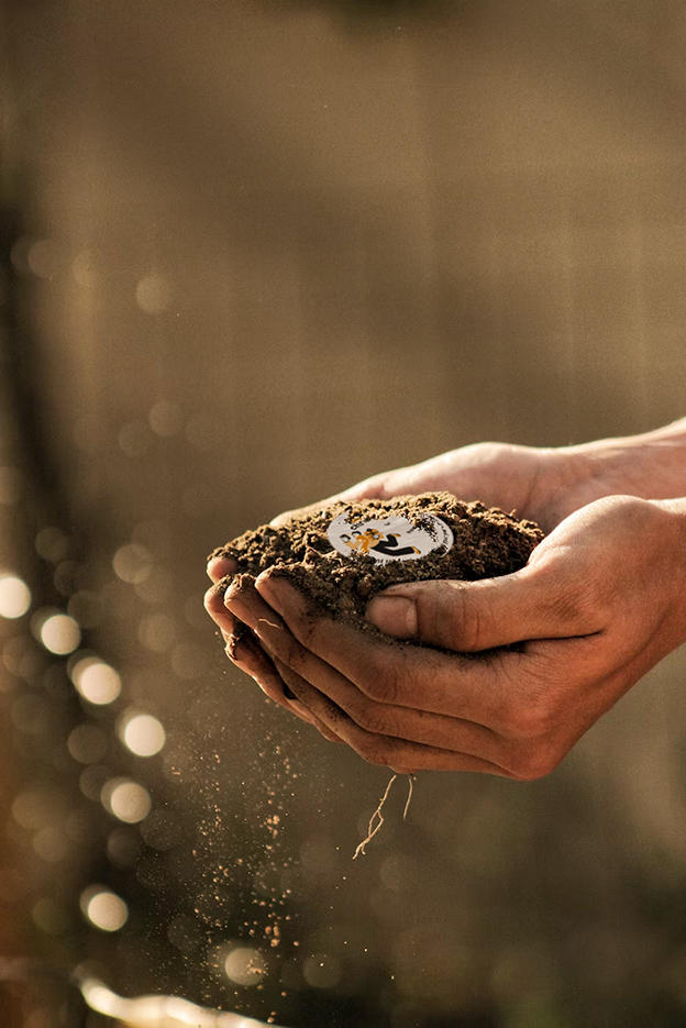 Media.Monks wraps up the year with goodness by creating a sustainable answer to festive gifting