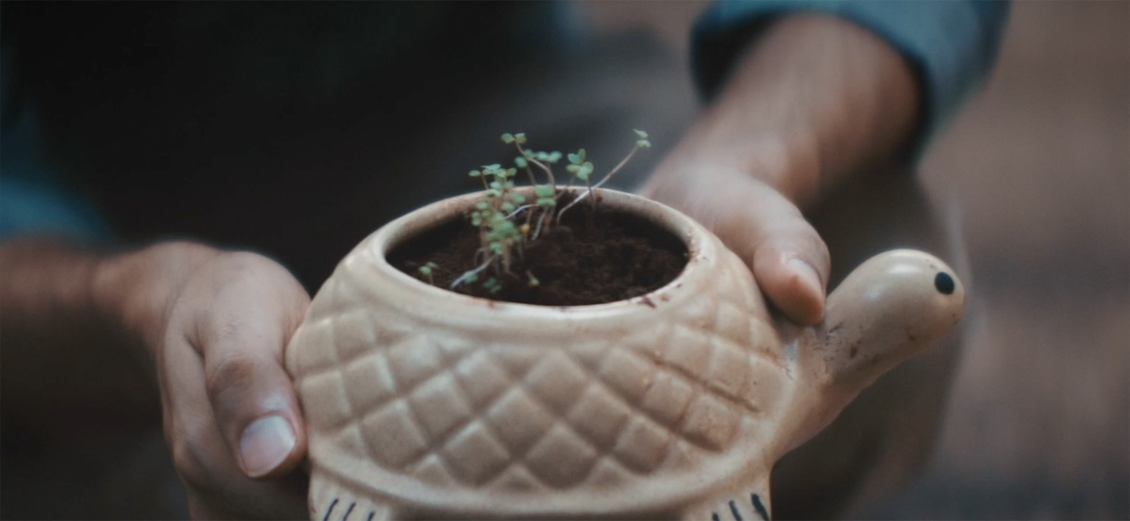 Greenlam Industries shows what a seed of love can do through a heart touching film