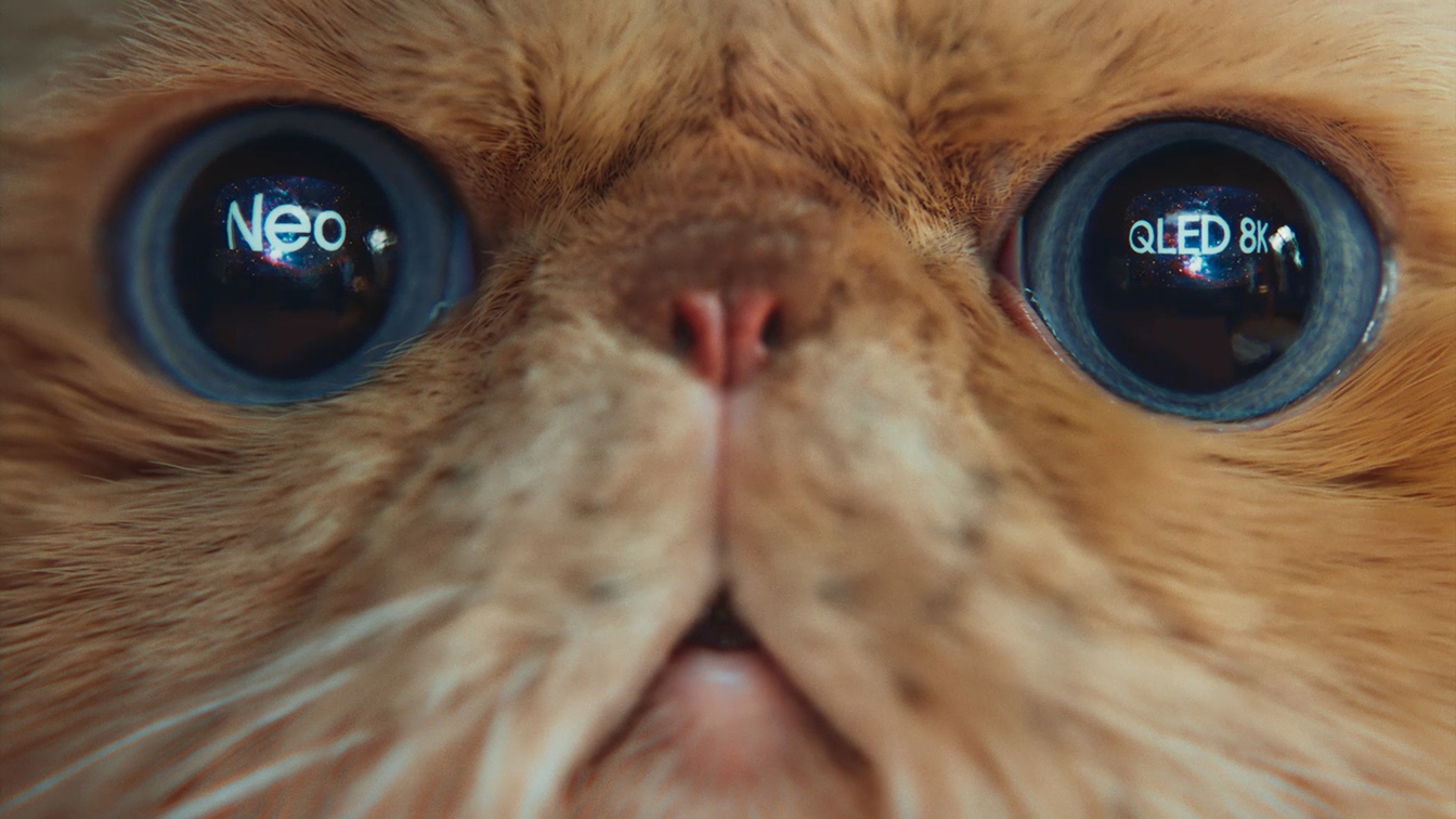The Samsung Neo QLED 8K TV wows the world’s grouchiest cat in new BBH Singapore spot