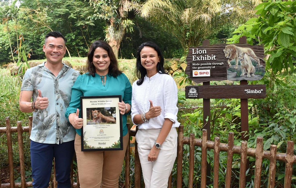 Publicis Groupe Singapore adopts Simba the lion