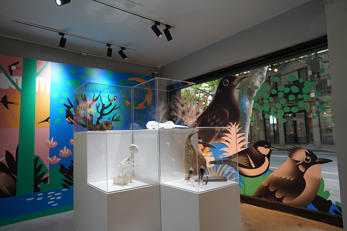 Anomaly OPEN Space presents ‘Shanghai Birds’ exhibition led by illustrator Momoshou