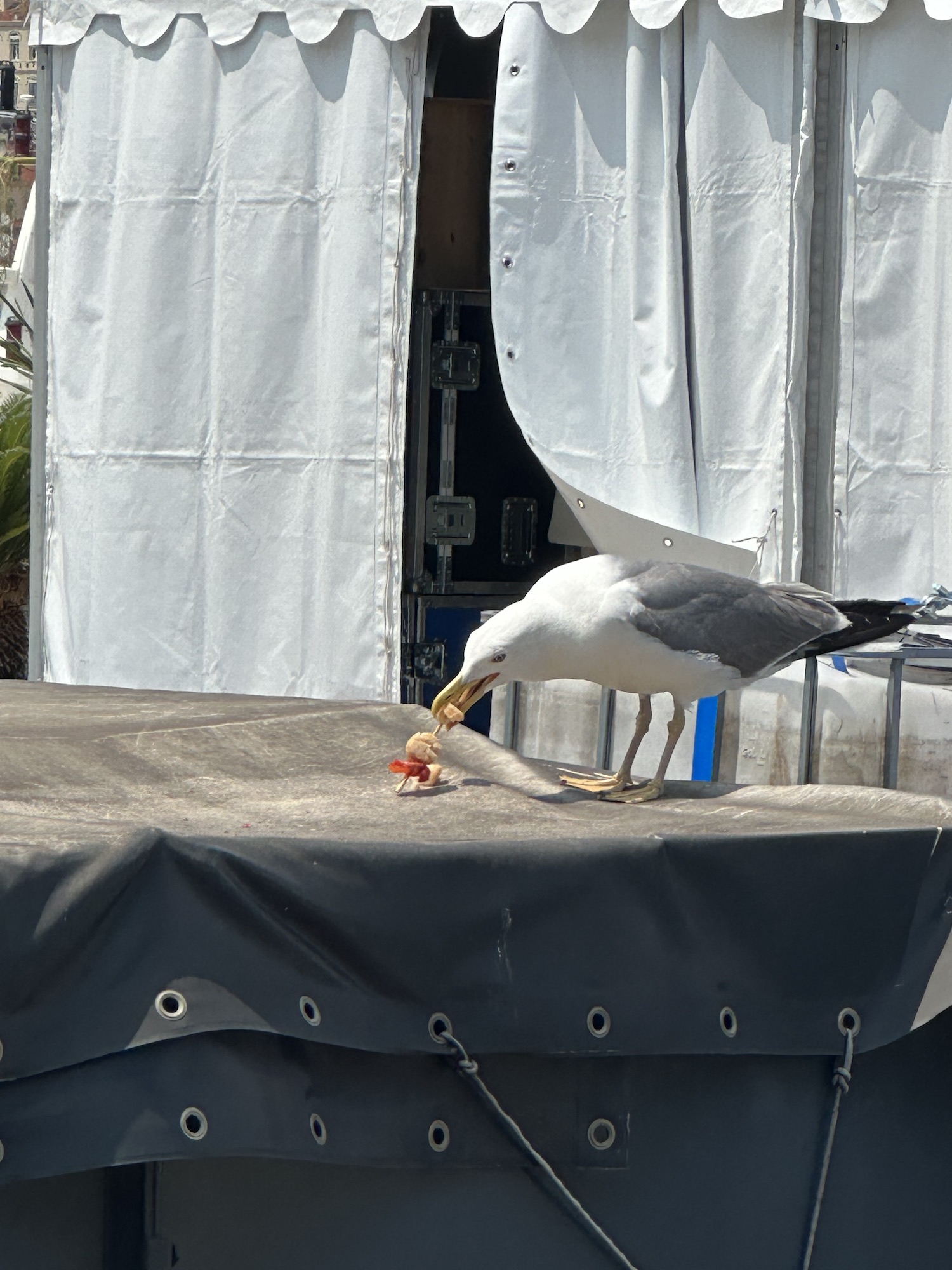Narve Thakrar’s Cannes Diary day #1 and #2