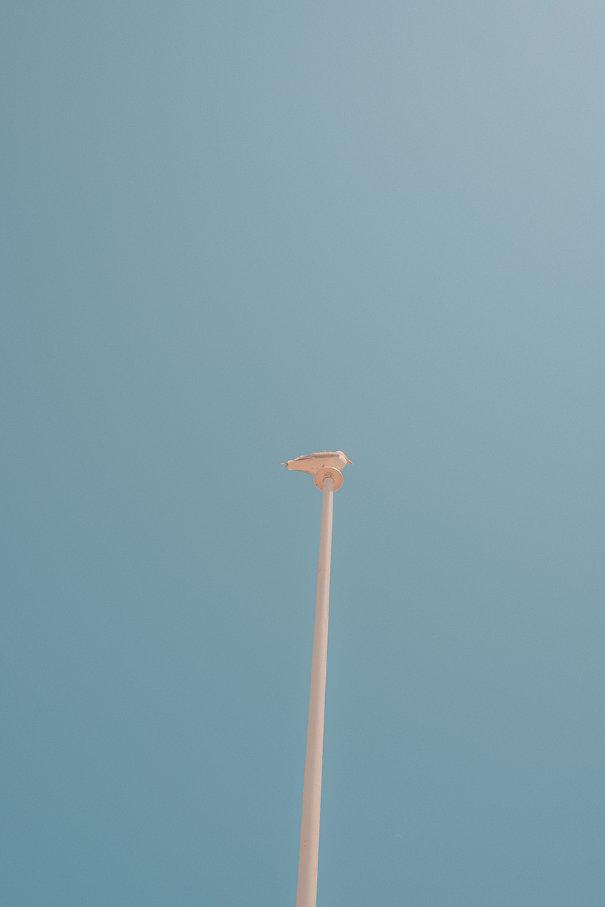 Erick Rosa: The Cannes color palette