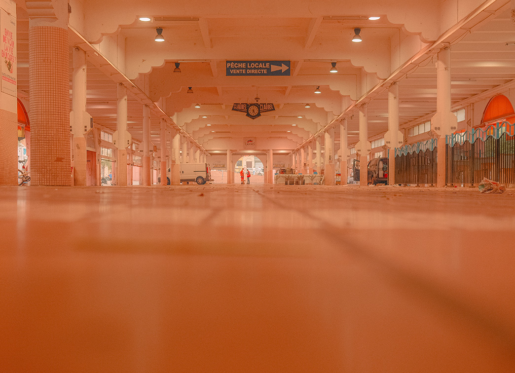 Erick Rosa: The Cannes color palette