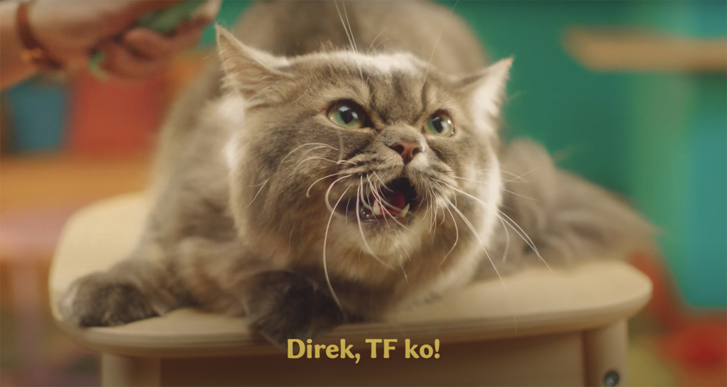 Goodest Cat’s new ad via GIGIL talks to your cat