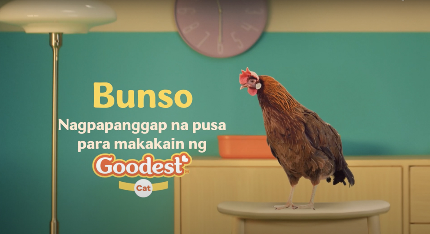 Goodest Cat’s new ad via GIGIL talks to your cat