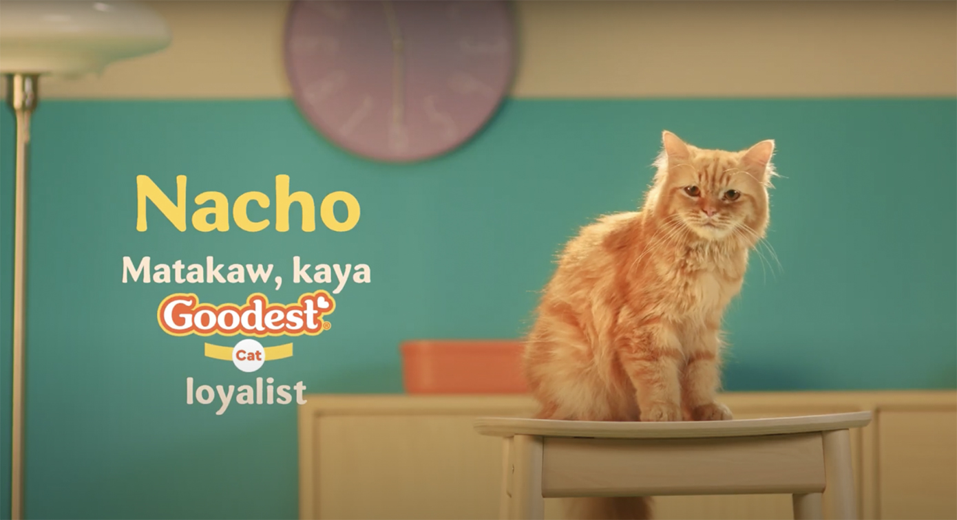 Goodest Cat’s new ad via GIGIL talks to your cat