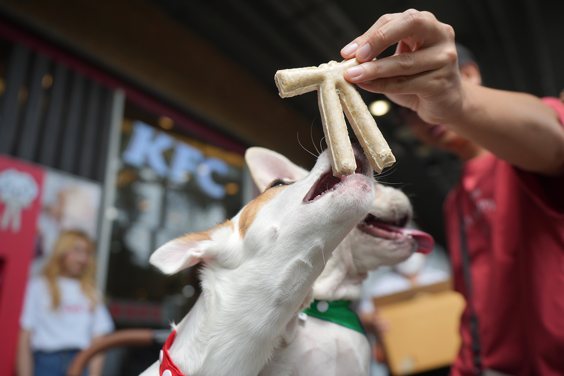 Wunderman Thompson + KFC Thailand release the ‘KFC BONE TIE’ to celebrate International Dog Day