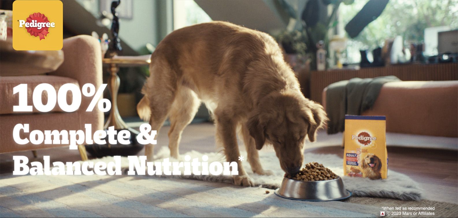 Pedigree India launches latest spot starring Indian actor Varun Dhawan