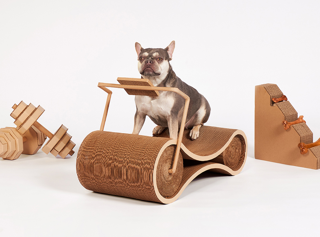 Central Westville and SOUR Bangkok repurpose retail waste into miniature Central Westville to promote eco & pet friendly mall
