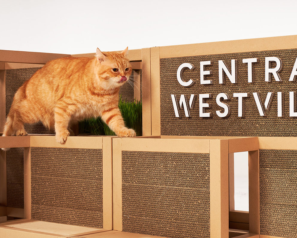 Central Westville and SOUR Bangkok repurpose retail waste into miniature Central Westville to promote eco & pet friendly mall