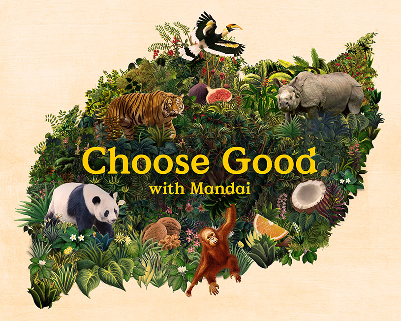 The Secret Little Agency and Mandai close a rich creative chapter together