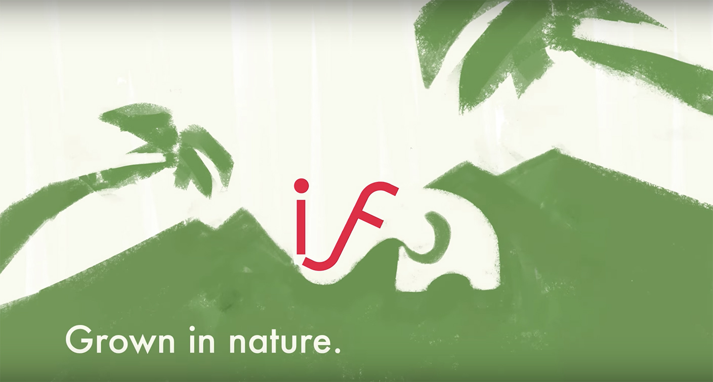 Banana Balloon China releases new animated video for If Coconut Water